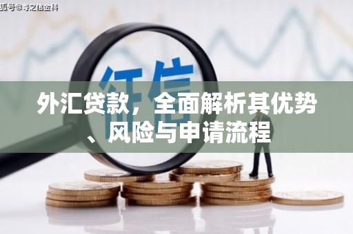 恩平外汇贷款，全面解析其优势、风险与申请流程