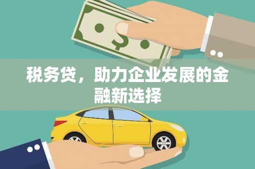 恩平税务贷，助力企业发展的金融新选择