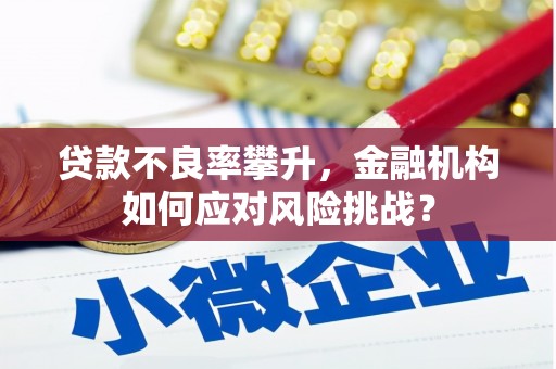 恩平贷款不良率攀升，金融机构如何应对风险挑战？