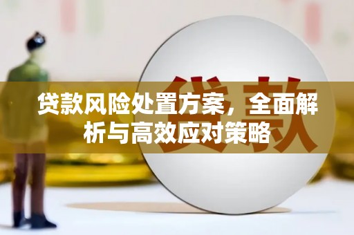恩平贷款风险处置方案，全面解析与高效应对策略