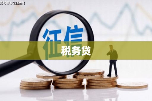 恩平税务贷