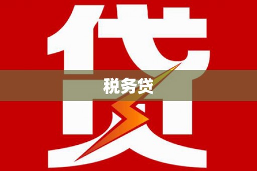 恩平税务贷