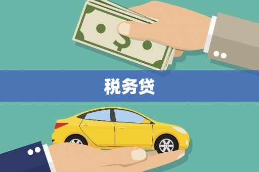 恩平税务贷