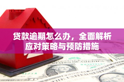 恩平贷款逾期怎么办，全面解析应对策略与预防措施