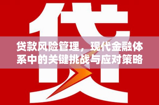 恩平贷款风险管理，现代金融体系中的关键挑战与应对策略