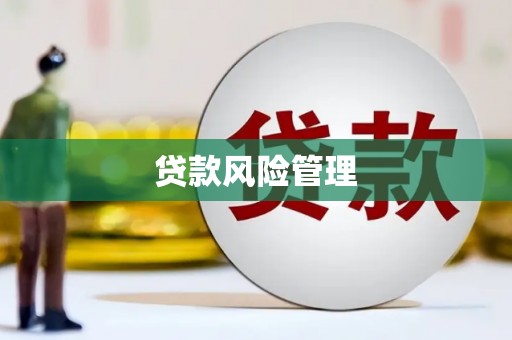 恩平贷款风险管理