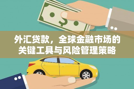 恩平外汇贷款，全球金融市场的关键工具与风险管理策略