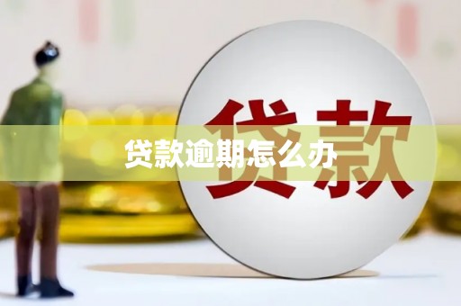 恩平贷款逾期怎么办