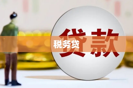 恩平税务贷