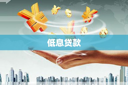 恩平低息贷款