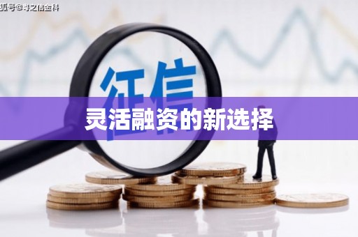 恩平灵活融资的新选择